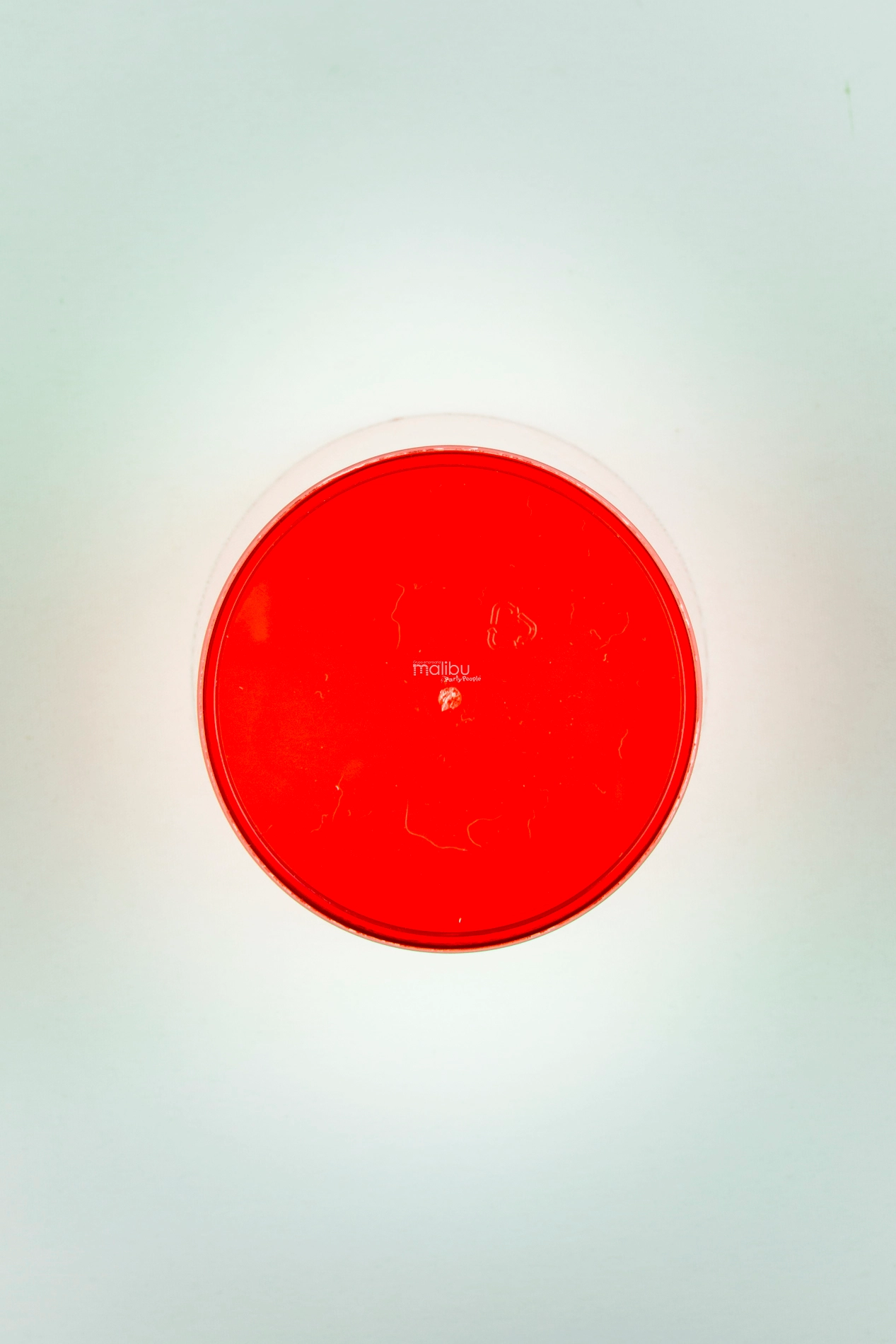 Vaso 16 Oz